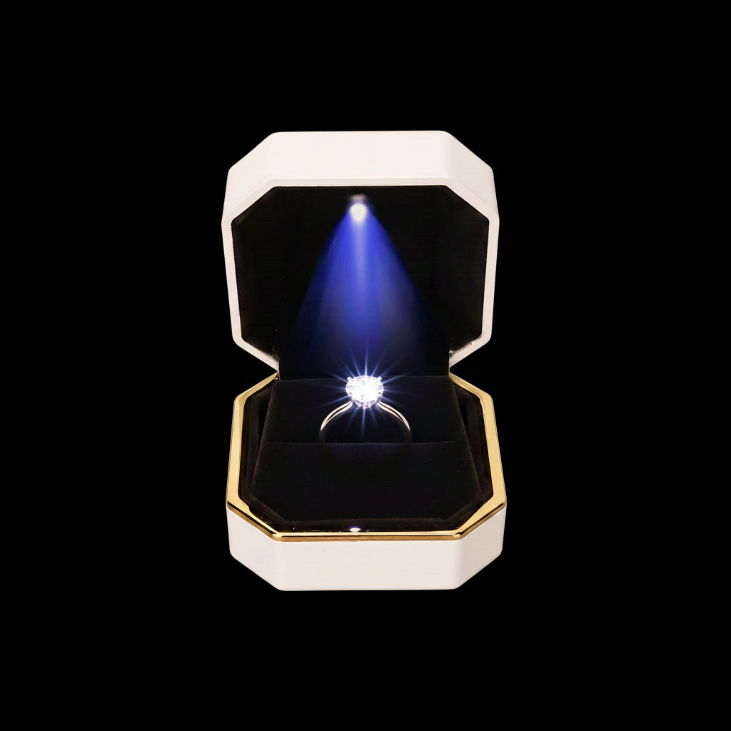 LED Lighted Jewellery Gift Box — Earring & Ear Stud Display Case (Black or White)