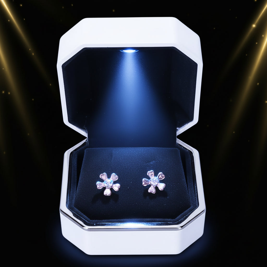 LED Lighted Jewellery Gift Box — Earring & Ear Stud Display Case (Black or White)